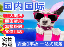 临沧博尚机场空运国际宠物托运 【国